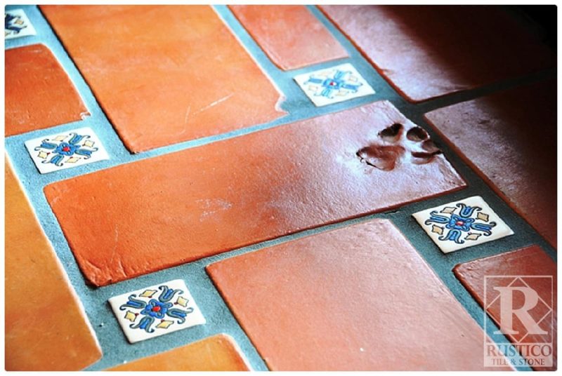 mexican tile with paw print