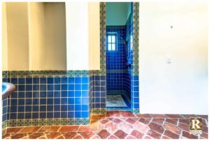 fleur de lis bathroom terracotta tile