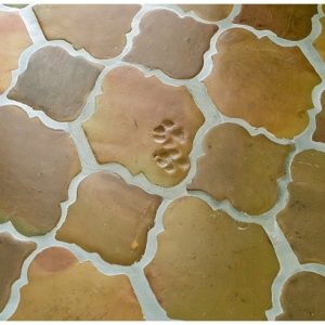 Paw Print in Mexican Saltillo Tile