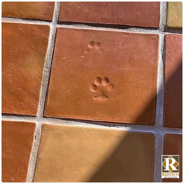 12x12 saltillo tile with paw print