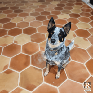 paw print hexagon mexican saltillo tile