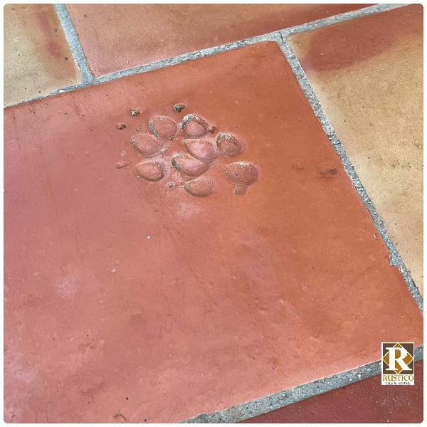 dog paw print on terracotta tile