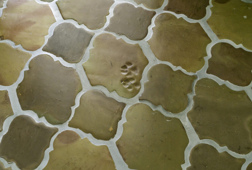 paw print on terracotta tile
