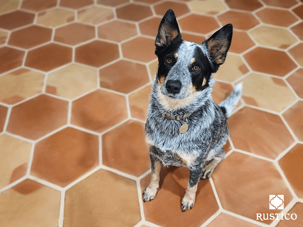 dog paw print hexagon mexican saltillo tile