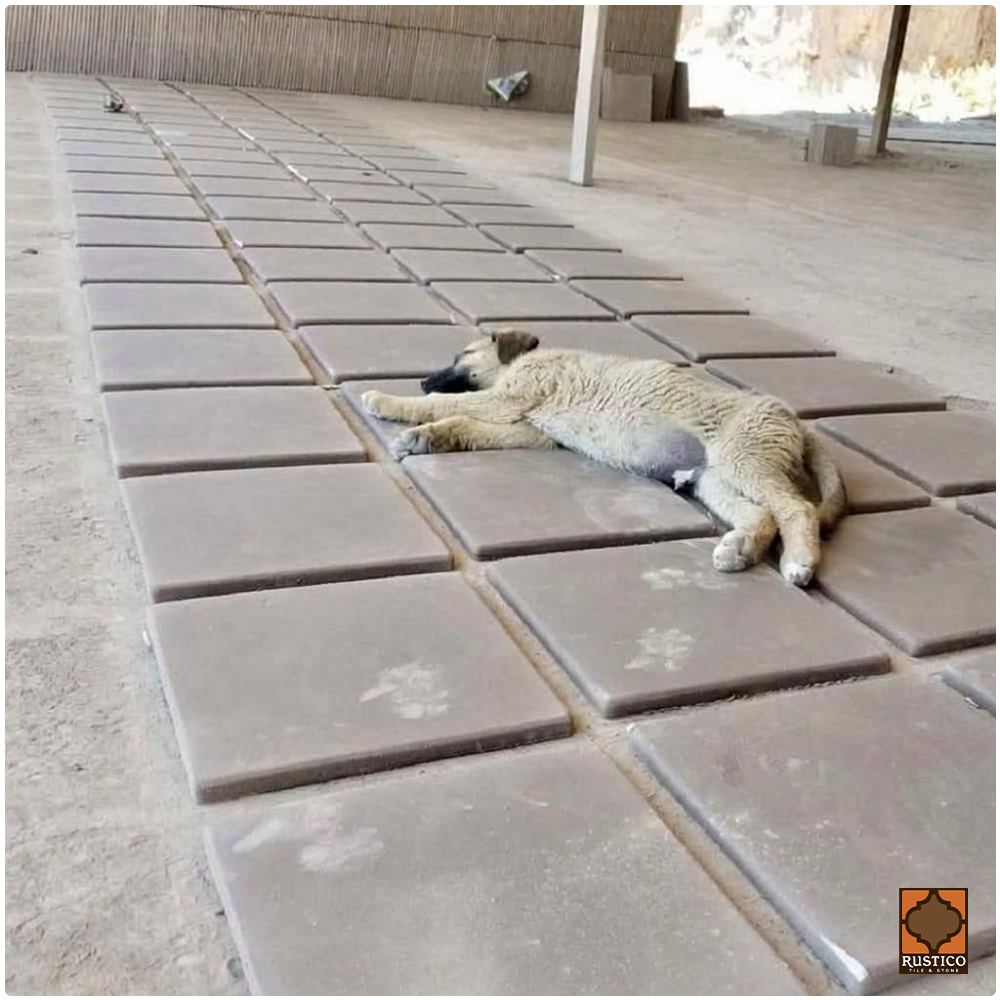 saltillo tile dog paw print
